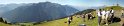 01 Panorama - Deco bisanne~